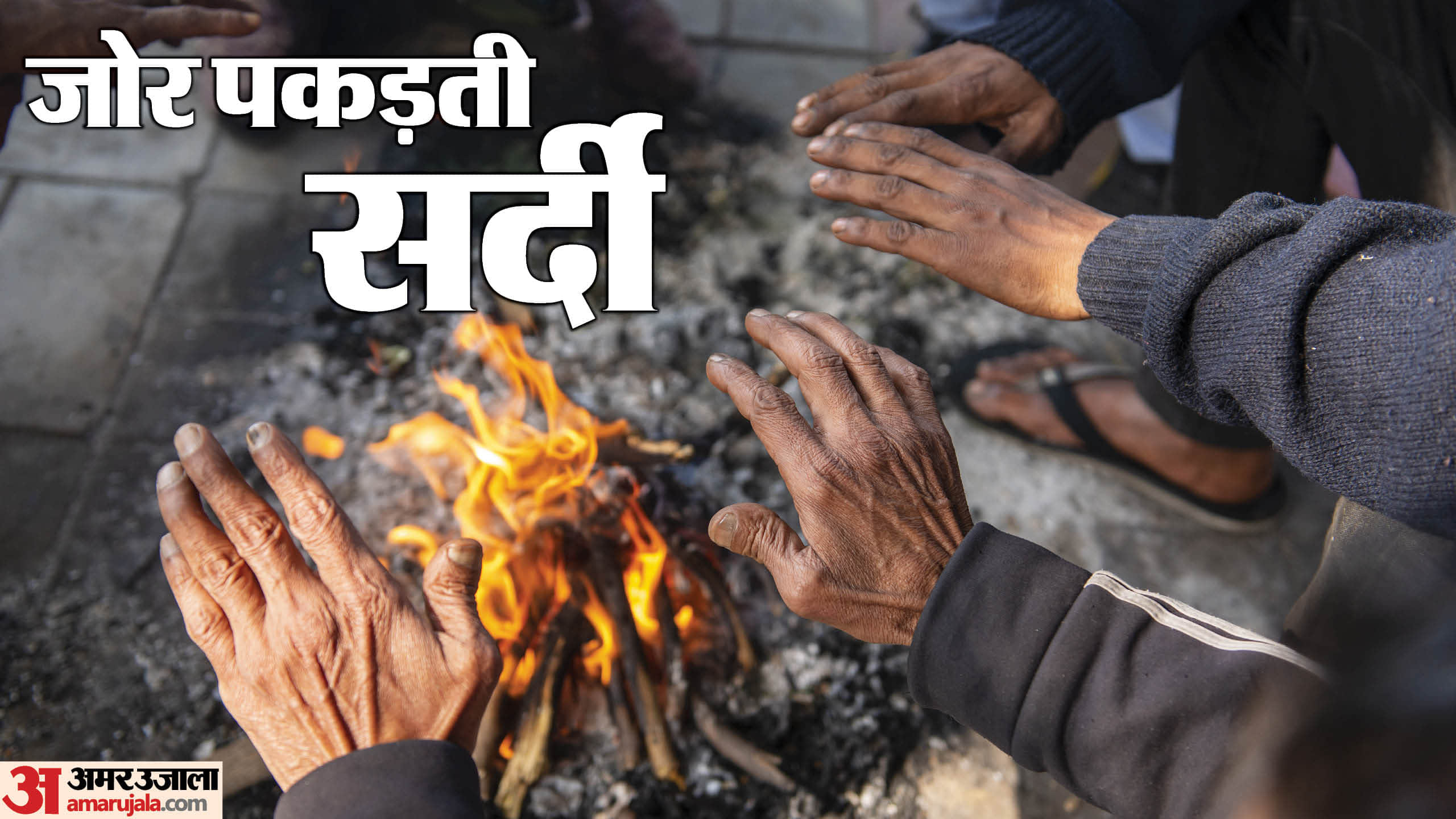 जोर पकड़ती सर्दी