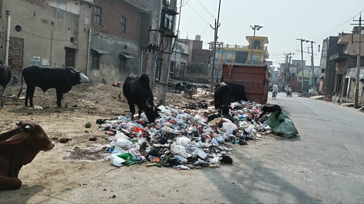 Kaithal: Poor sanitation system, sanitation inspector suspended, five-member committee took action