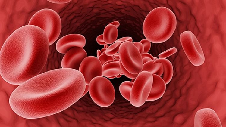 World Thalassemia Day: Thalassemia Patients Are Increasing, Not Enough Stem Cell Donors Are Available – Amar Ujala Hindi News Live