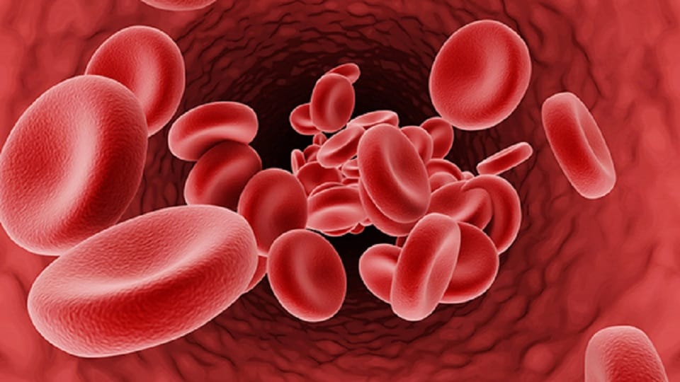 Delhi government will launch blood directory app