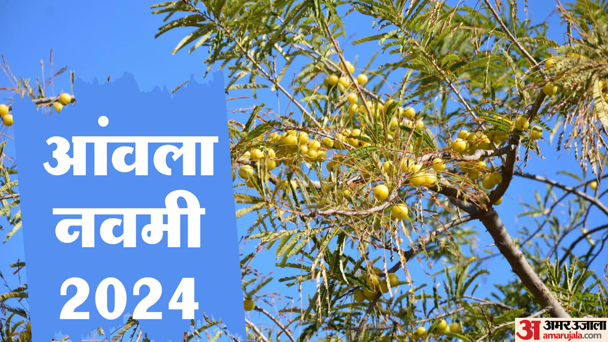 Amla Navami 2024 Date Kab Hai Akshay Navami Upay Get Blessing of Maa Laksmi