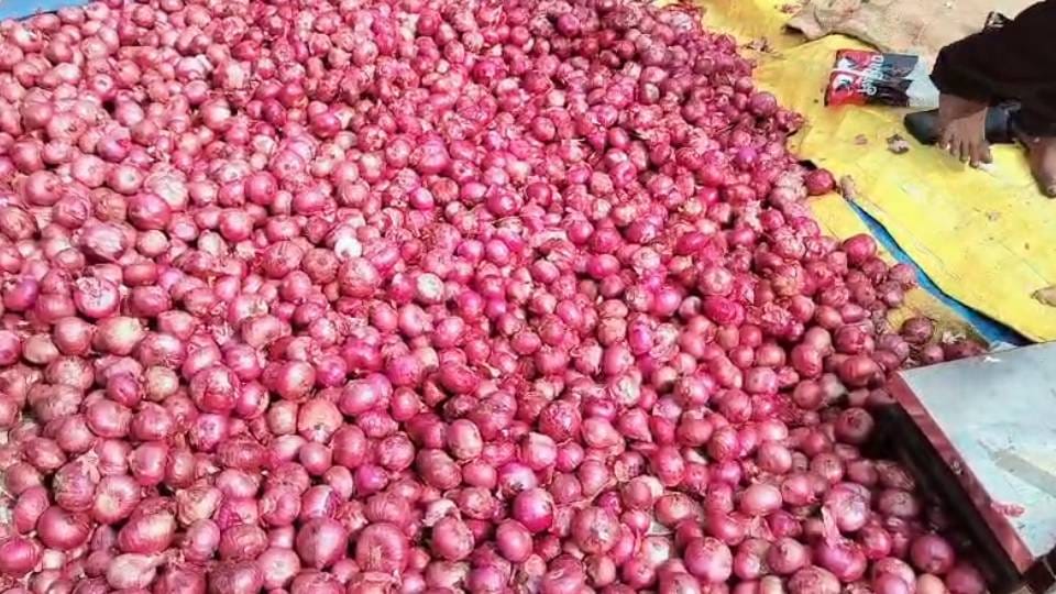 central government took steps to reduce onion prices, decided to release more onions in the market