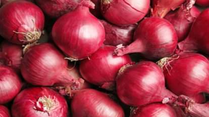 प्याज।