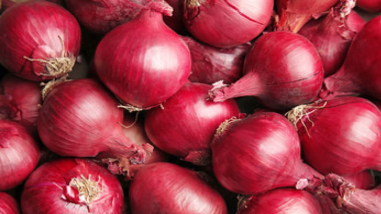 Customers are paying Rs 40 per kg of onion in retail market
