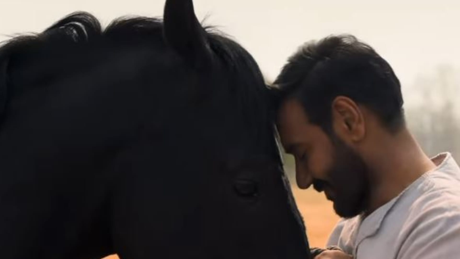 Emergency Movie Box Office Collection Day 8 kangana Ranaut And Azaad Ajay Devgn Rasha Thadani Aaman Devgan Fil