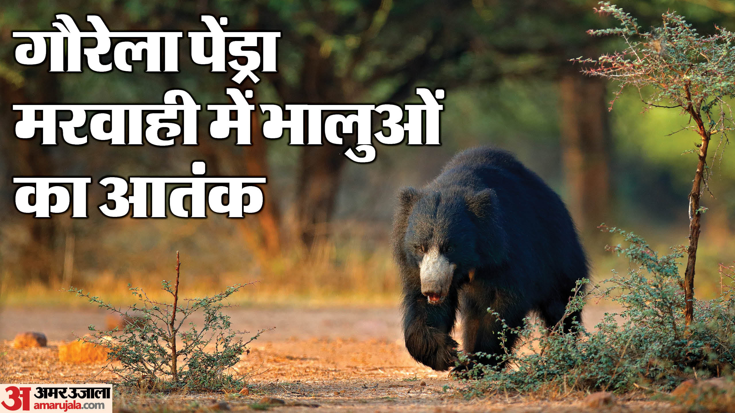 GPM News