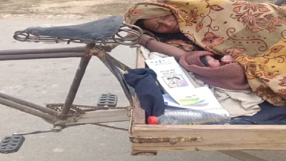 Questions raised on health system when ambulance was not available mother and child went home in rickshaw tro