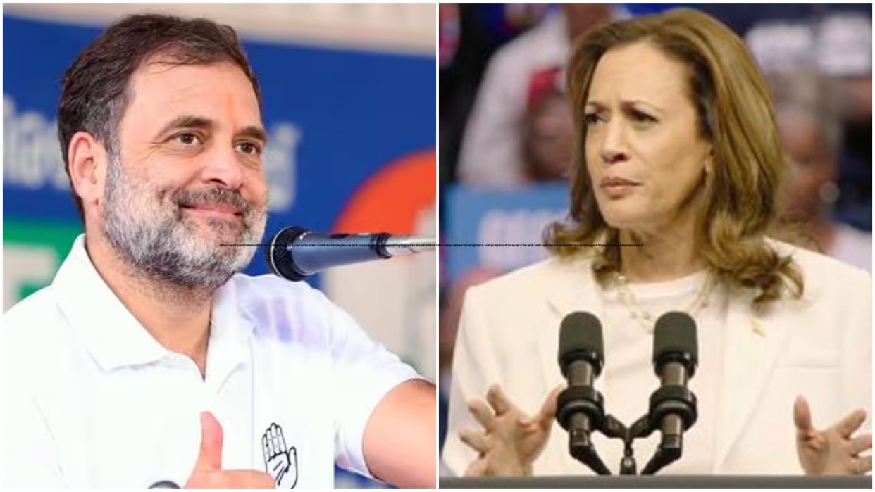 Congress Rahul Gandhi writes to Kamala Harris amid Donald Trump win US Presidential Election 2024 news updates