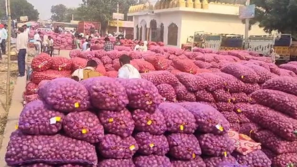 Alwar News: Farmers earn huge income due to bumper production, onion of Alwar is famous all over the country