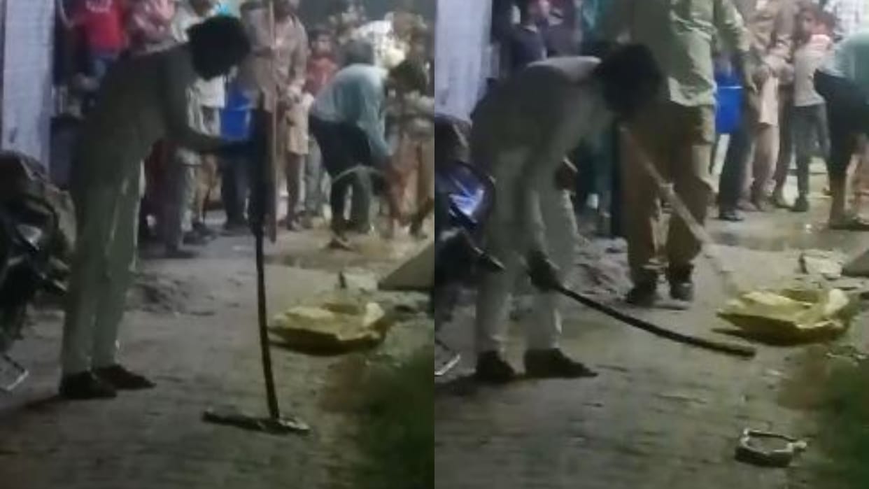 snake killing again in Budaun