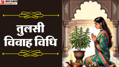 Tulsi Vivah 2024 Do And Don'ts for Happy Married Life Mistakes to Avoid During Tulsi Puja