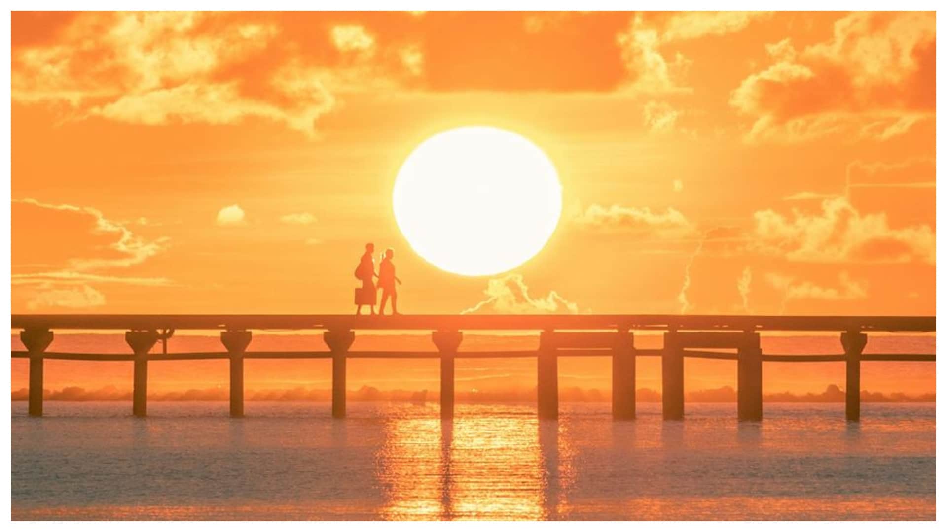 Ozone Day 2025: What We Celebrate World Ozone Day Know Date And Theme