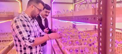 उत्तराखंड समाचार नौकरी छोड़ने के बाद बिना मिट्टी और पानी के केसर की खेती कर रहे युवा