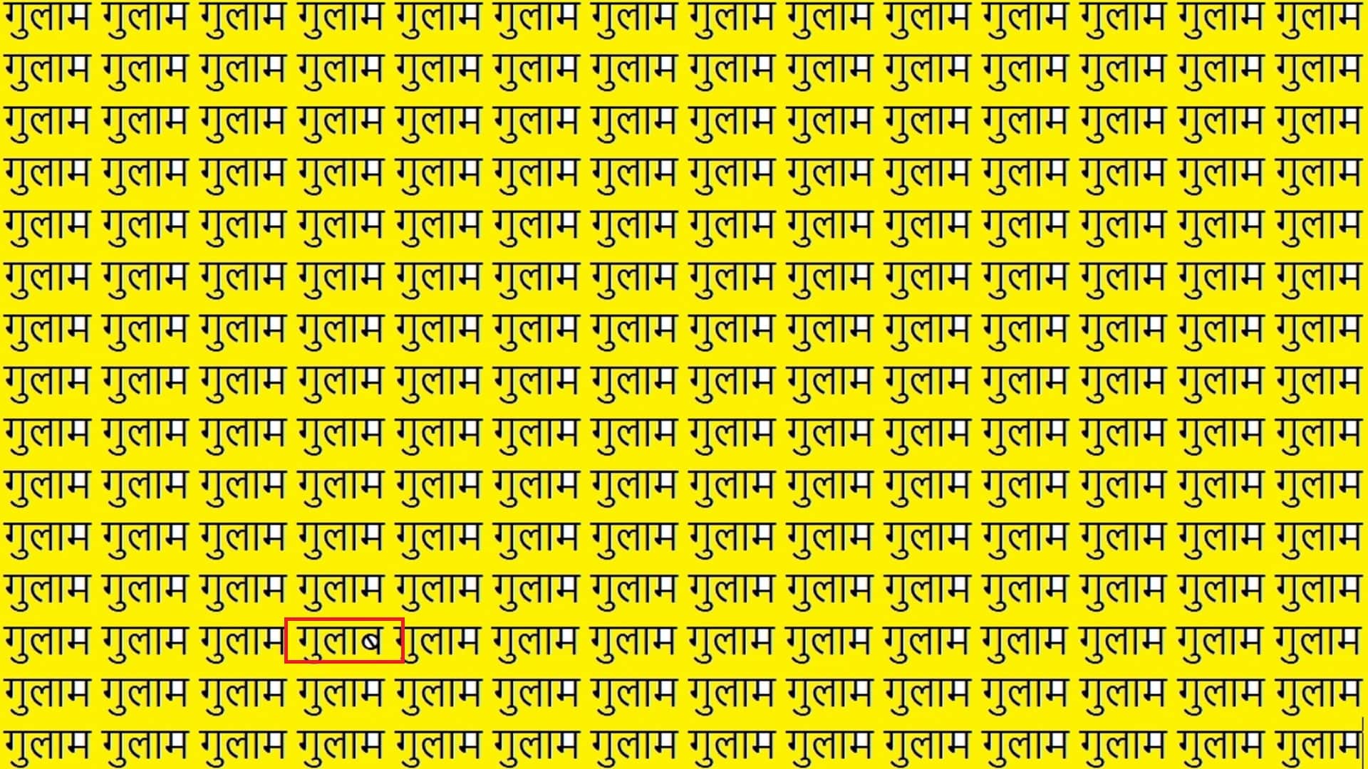 Viral Optical Illusion Photo: Find Out Hidden Gulab from Picture in 9 Seconds Illusion to Test Your Brain IQ