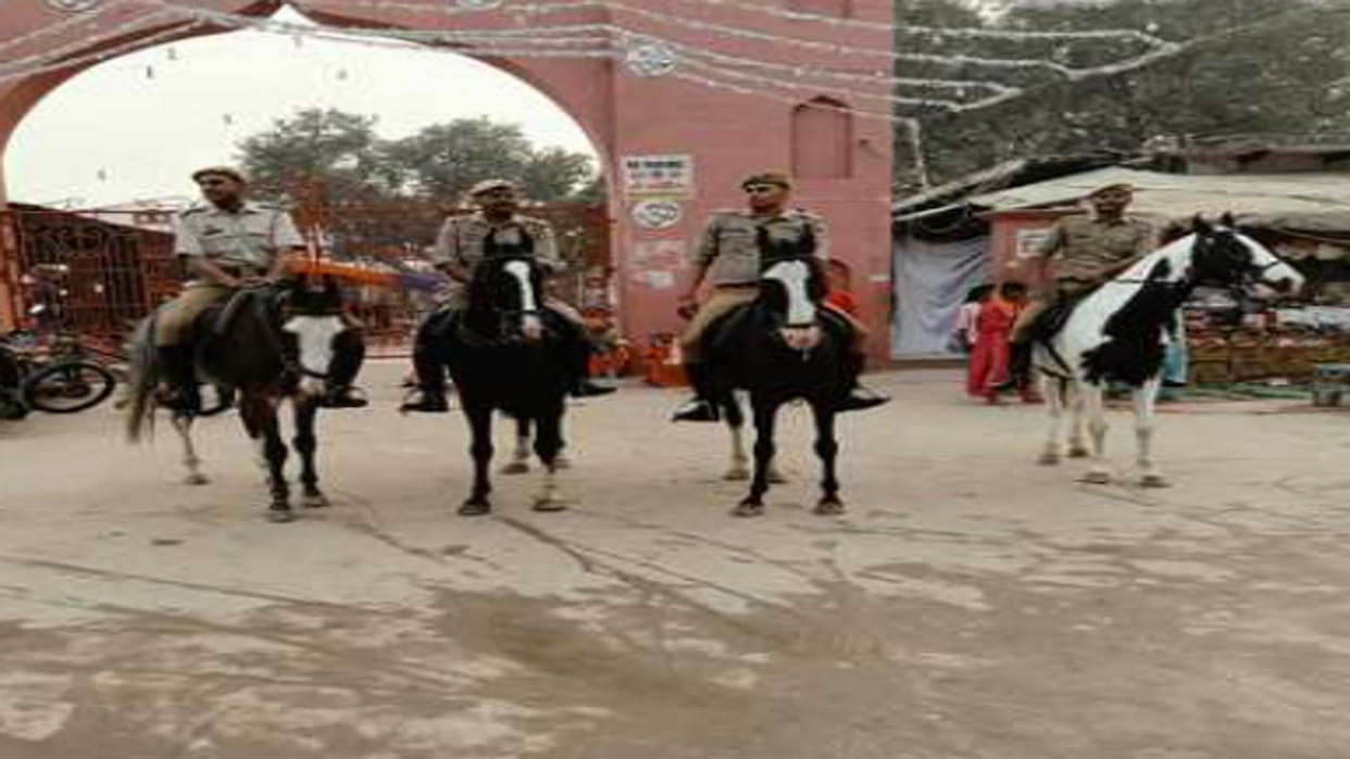Mahakumbh 2025 130 horses from 11 districts will control the crowd in Mahakumbh