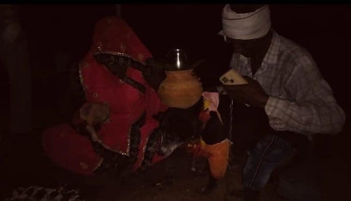 Animal Love Rani gave birth to a puppy then well was worshipped there was dancing and singing with fireworks