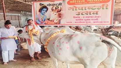 UP News: Gopashtami celebrated with pomp in temples and cowsheds, VHP workers said - there should be death penalty for cow slaughter Gopasthami was celebrated with great pomp in temples and cow shelters in Ayodhya.
