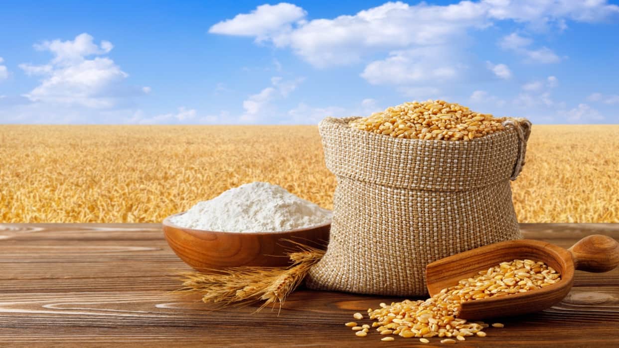 Will wheat get even costlier before festive season Prices in major wholesale markets risen up to 7.5% in month
