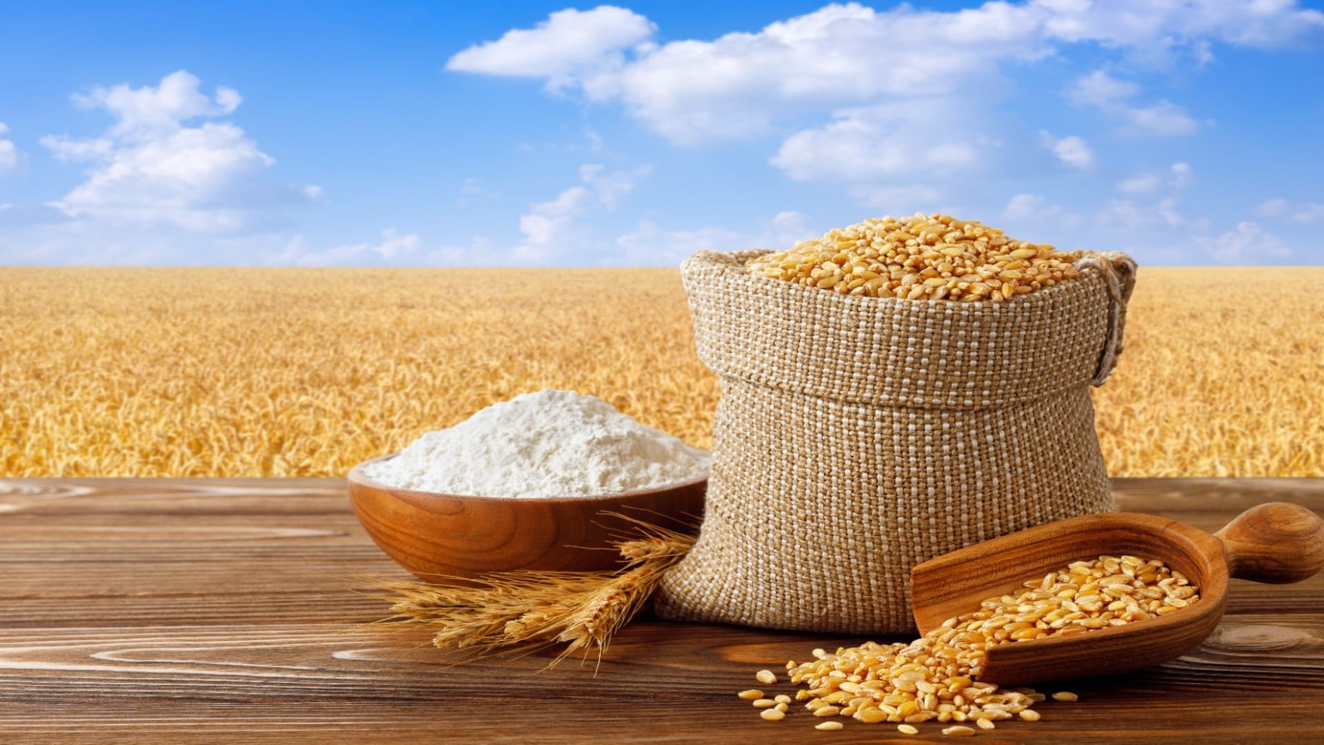 How To Check Adulteration In Wheat Flour Know The Method Here