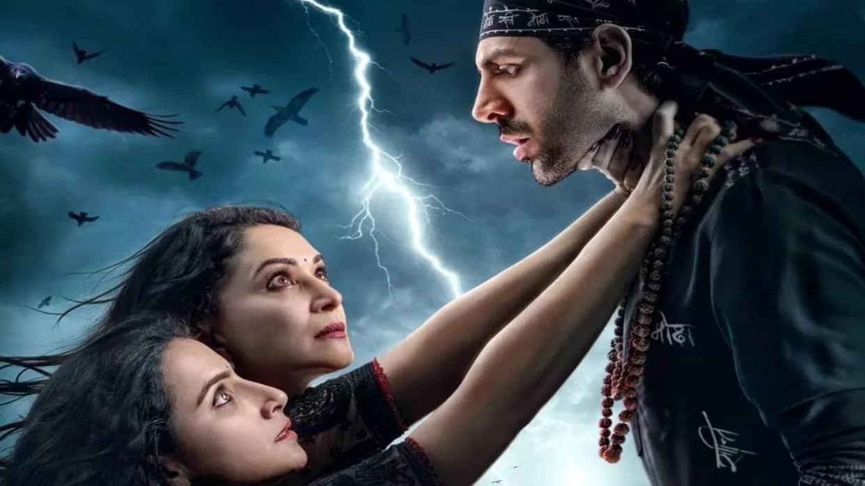 Bhool Bhulaiyaa 3 Movie Box Office Collection Day 19 Kartik Aaryan Anees Bazmee Film Total Earnings