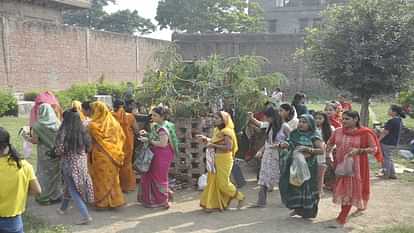 Women worshiped the Amla tree on Akshaya Navami