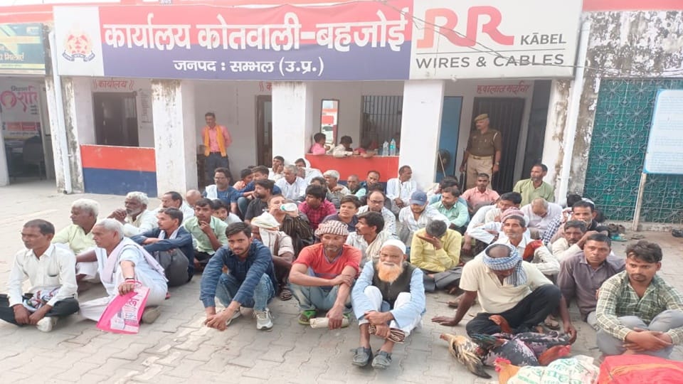 Sambhal Police: Cockfight... 55 jailed, action taken against people from five districts