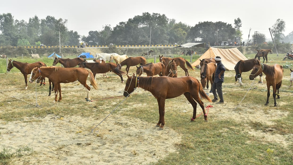 Chaubari Mela 2024 in Bareilly