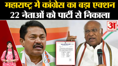 Maharashtra Assembly Elections 2024 sharad pawar vs amit shah know chunav politics of bjp ncp and shiv sena in
