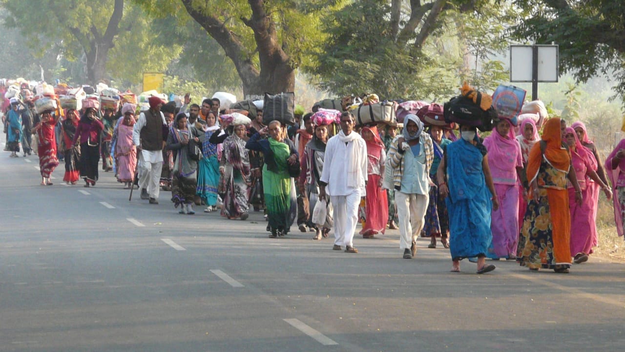 Omkareshwar: Grand inauguration of 49th Panchkoshi Yatra in Omkareshwar