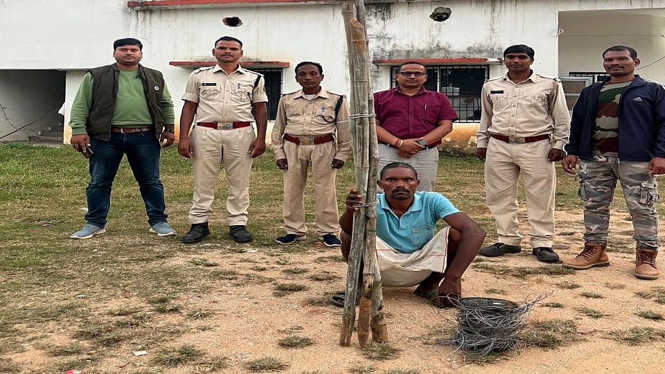 Accused arrested in case of death of wild elephant elephant died due to electric shock in Balrampur Ramnujganj