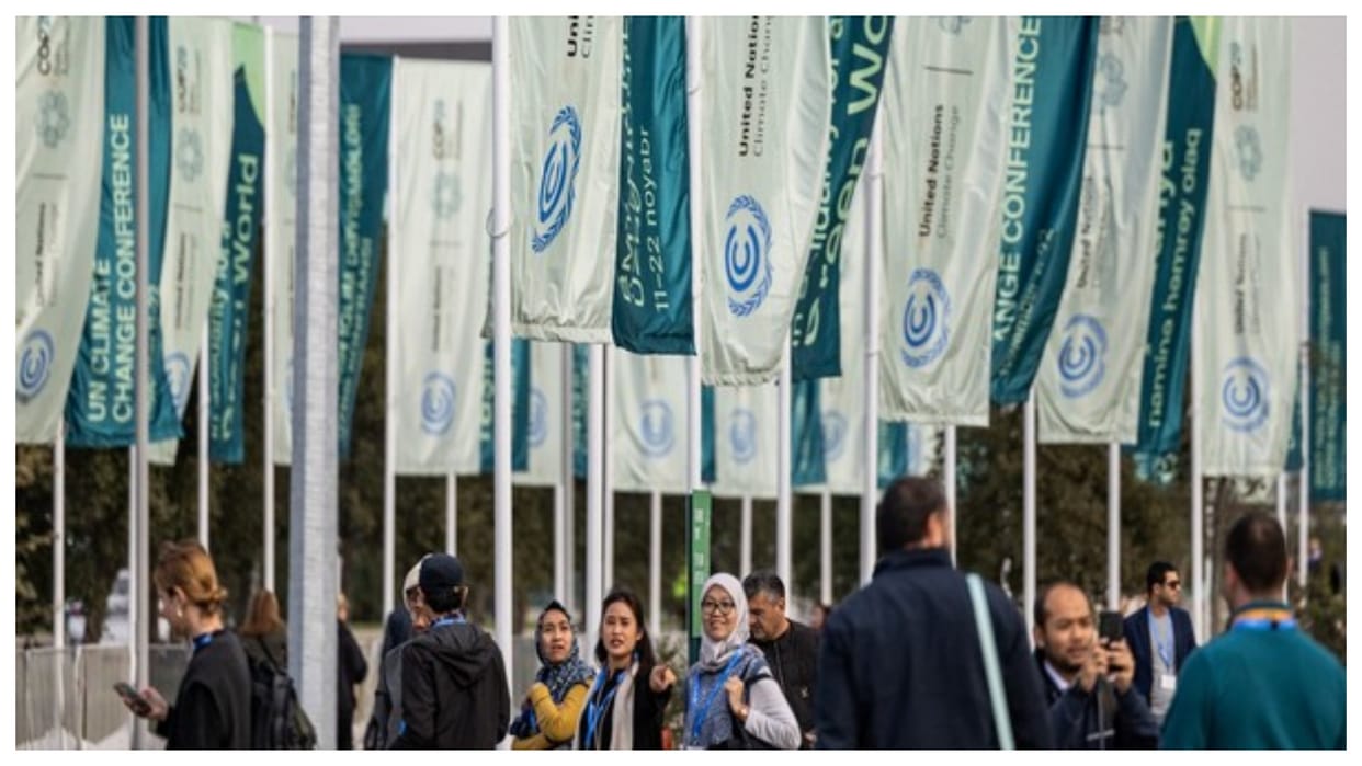 COP29 adopts establishment of global carbon market under Paris Agreement Article 6