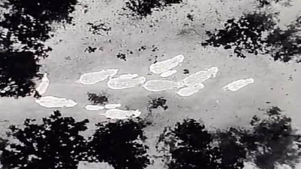 ड्रोन से ली गई तस्वीर