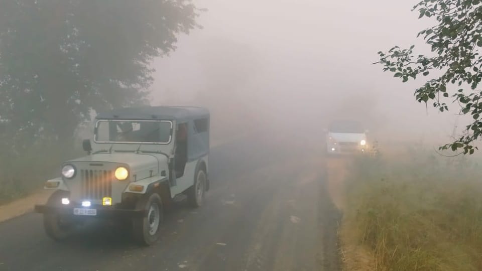 car driving in fog tips for driving in foggy conditions