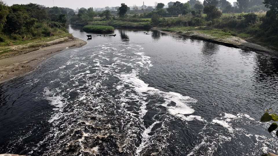 culture of Aligarh more than 4000 years old