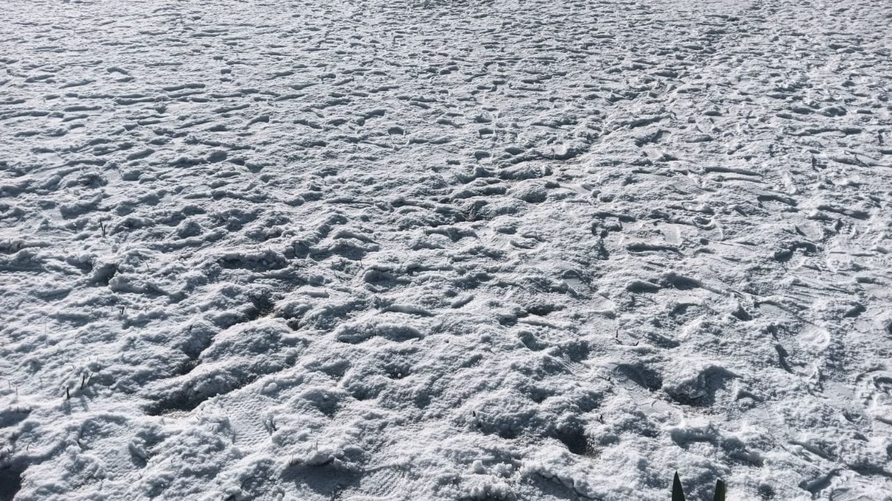 J&K Snowfall: Srinagar-Leh Highway closed