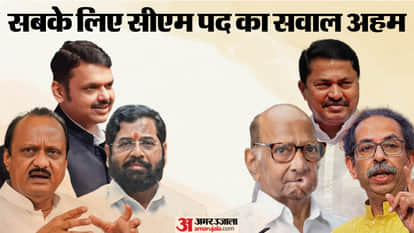 Maharashtra Assembly Election 2024: CM post in MVA and Mahayuti, How will the government be formed?