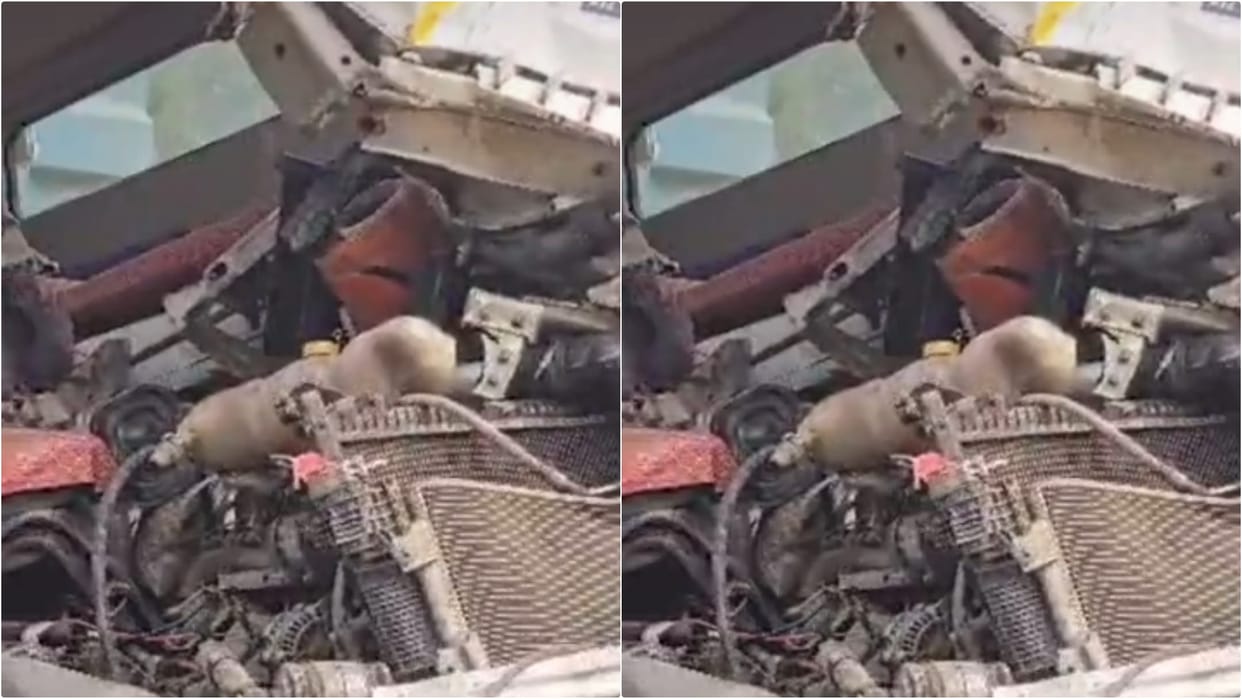 Patna News: Both vehicles shattered in a horrific road accident, one driver died, other fled from spot