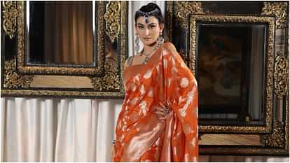 Fabulous Lives Vs Bollywood Wives Season 3 Shalini Passi Lives Luxurious Life She Also Donates Her Earning
