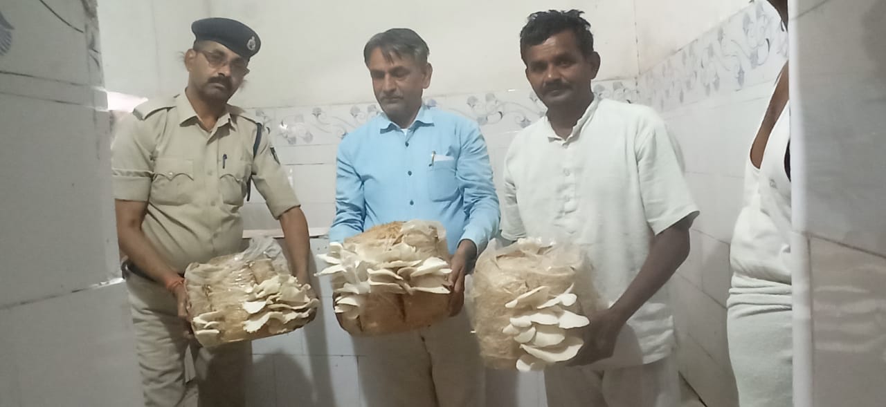 टीकमगढ़ जिला जेल में मशरूम का उत्पादन हुआ शुरू