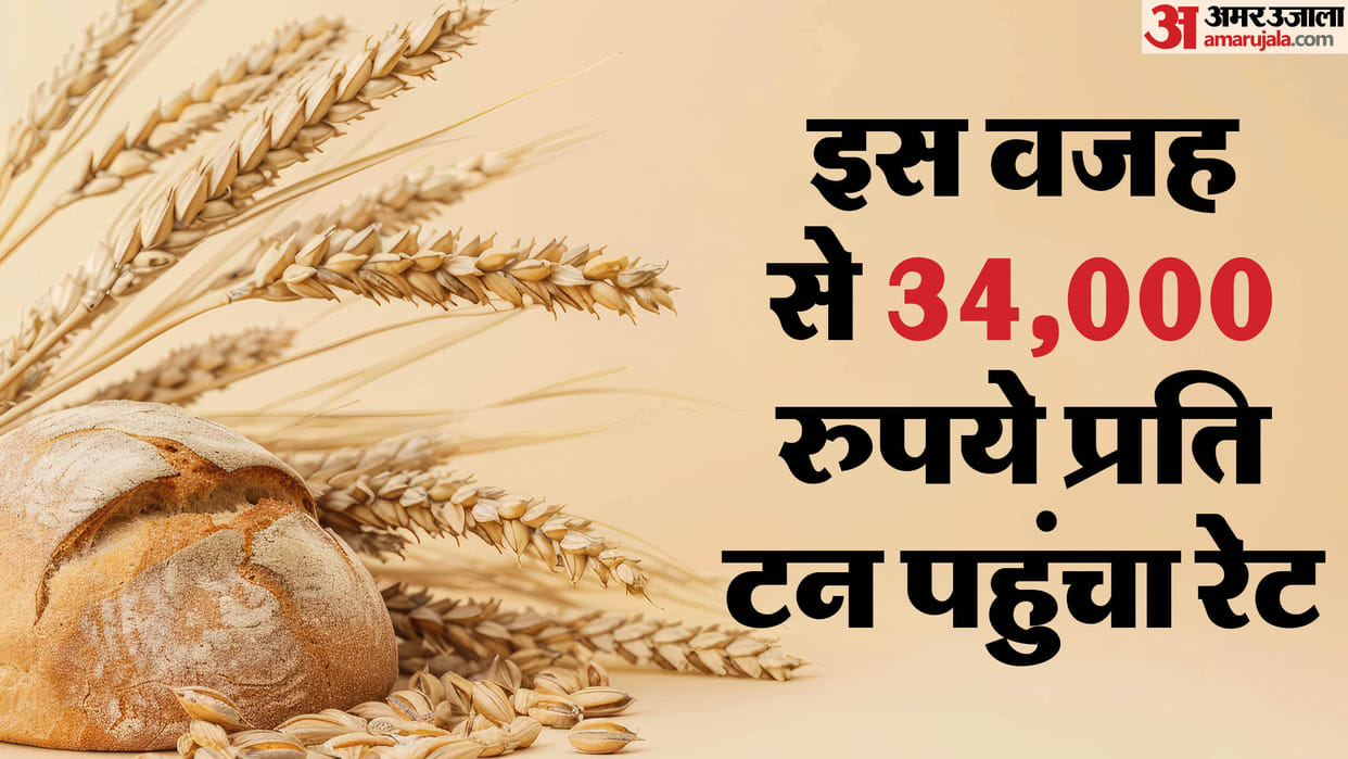 Wheat Price is reaching record levels in country