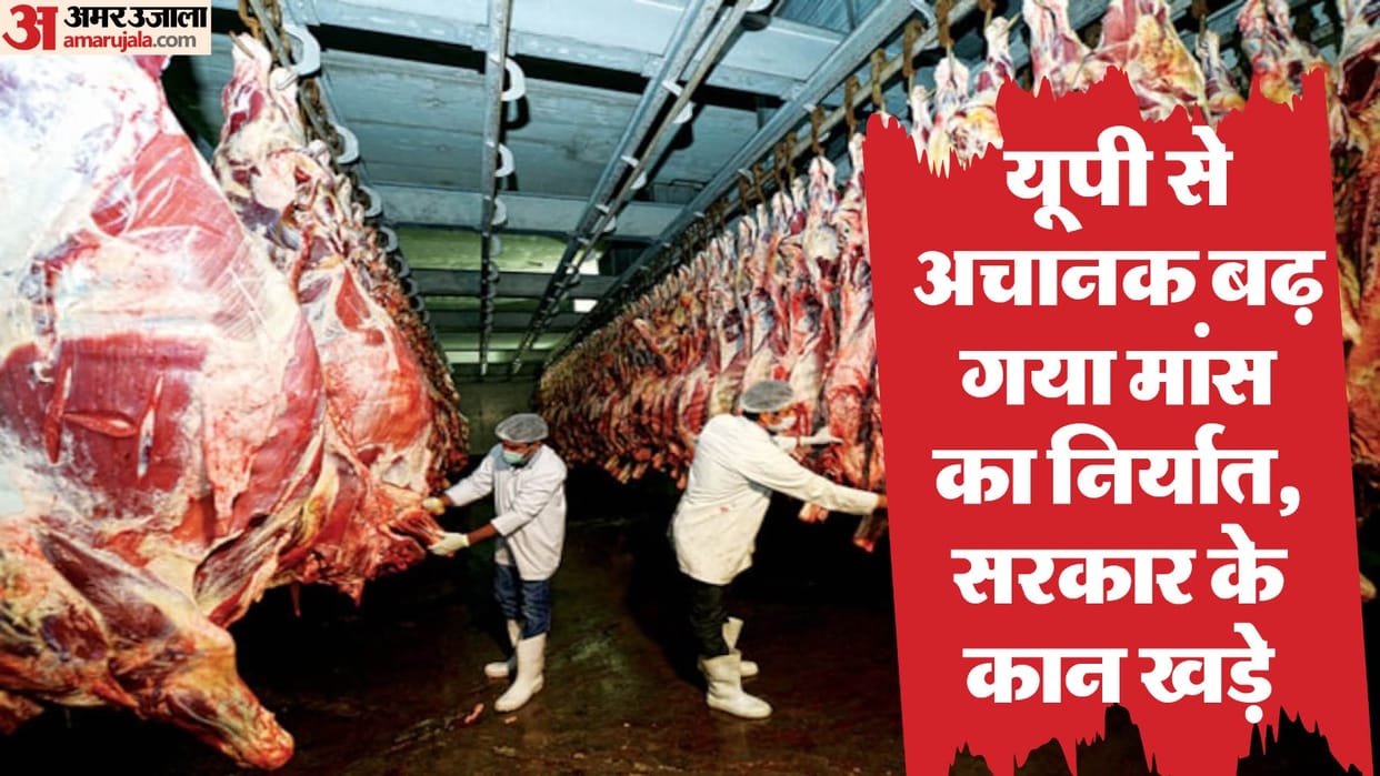 UP: Unexpected increase in export of meat, government took action, sale of buffalo meat tops