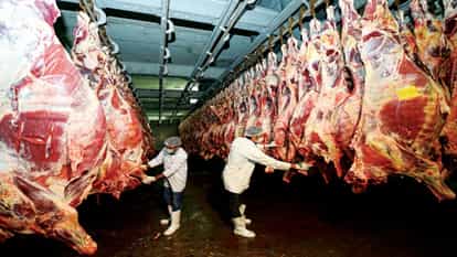 The issue of illegal slaughter houses is increasing in the state. Now in this case the NOC given to three slau