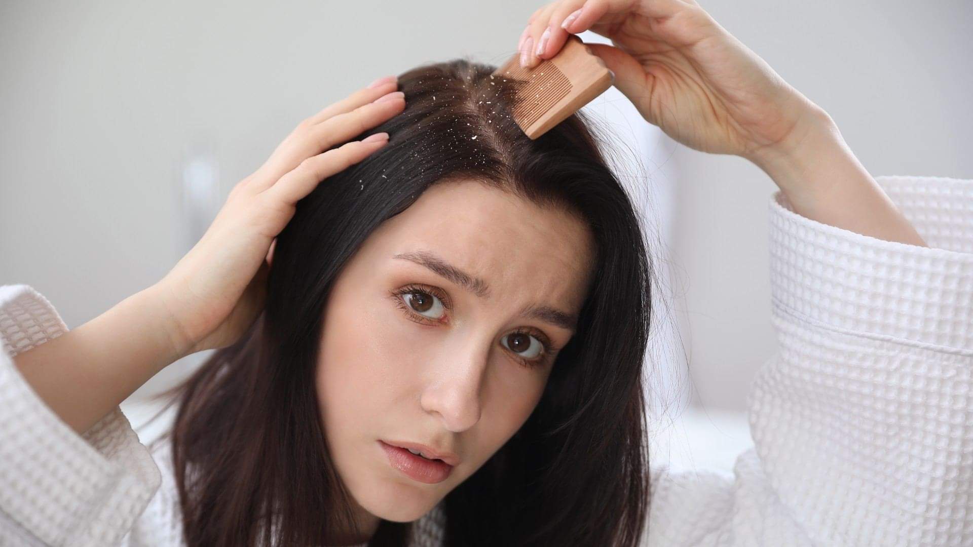 Hair Care Myths and Facts Can Rainwater Really Cause Head Lice