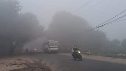 fog in Punjab Visibility drops to 800 metres in Amritsar minimum temperature reaches 5 degree