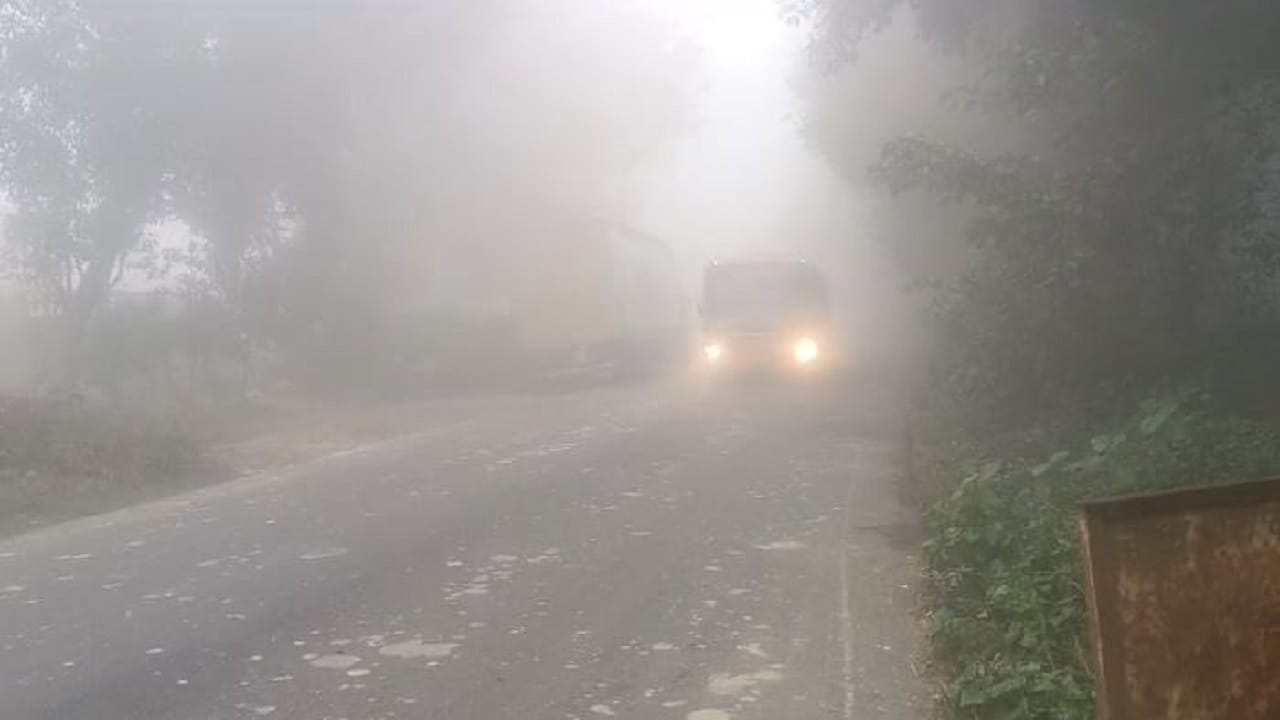 dense fog in Bareilly division weather news