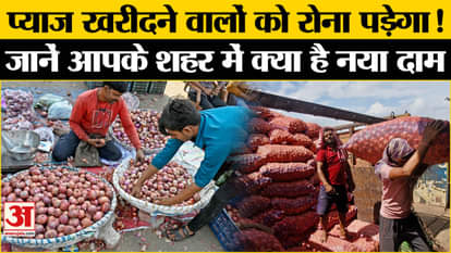 Onion Price Hike: Onion prices are making us cry, when will onion become cheaper, what is the Central Governme