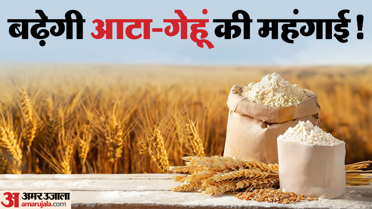 Wheat prices at record high, inflation will increase! RBI's decision to cut interest rates will be affected