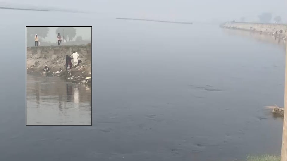 Baghpat: Woman attempted suicide by jumping into Yamuna, saved her life in a few seconds