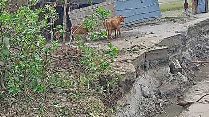 Bihar News: कोसी नदी में 15 फीट कटाव के चलते हो सकता है भारी नुकसान, रतजगा करने को विवश हैं ग्रामीण Bihar There may be huge loss due to 15 feet erosion in Kosi river villagers are forced to stay awake night
