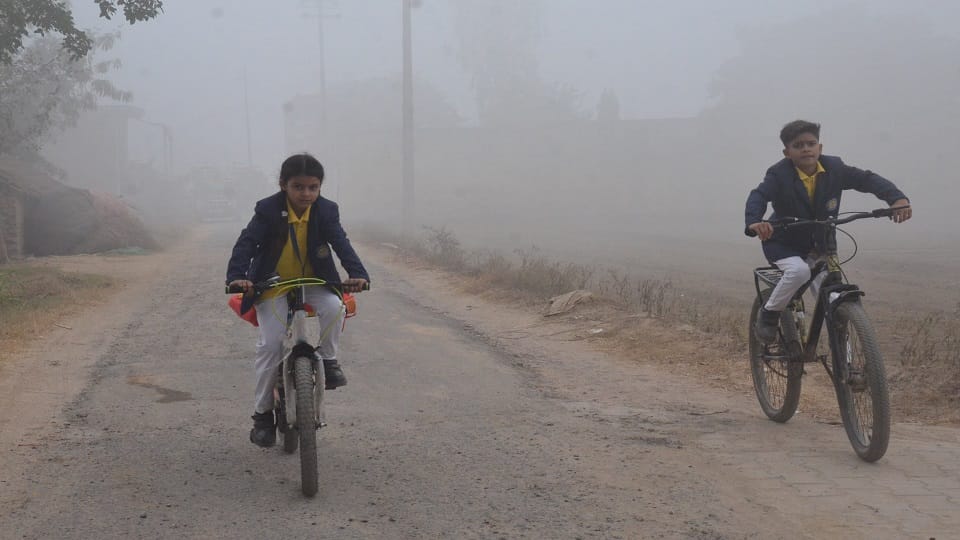 Temperature decreased in Aligarh